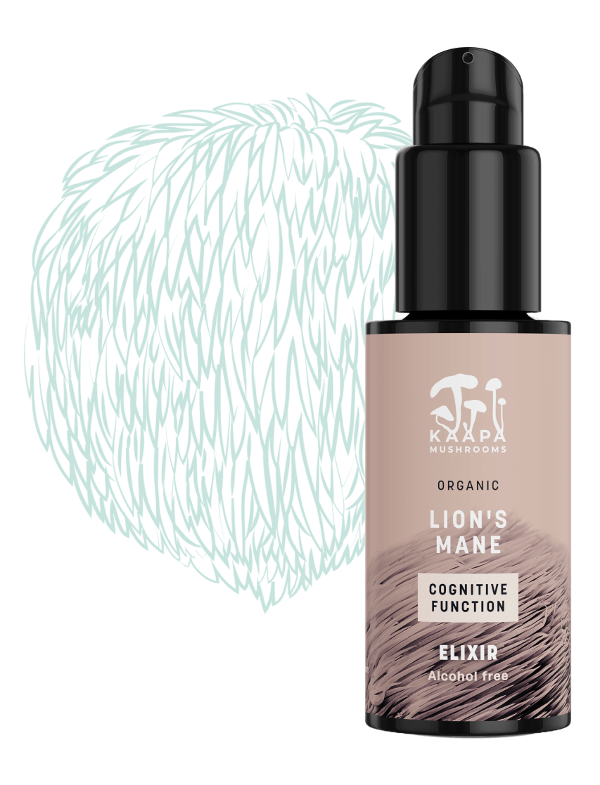 k-p-lion-s-mane-cognitive-function-elix-r-biohacker-life